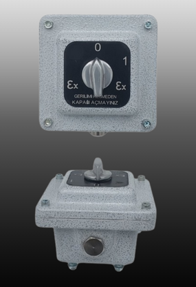 Exproof Anahtar Kutuları Zone 1&21-2&22