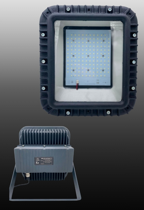 Exproof Kare Led Projektör Zone 1&21-Zone 2&22